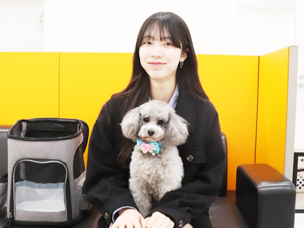 モデル犬の新しい家族が決まりました！PART⑥